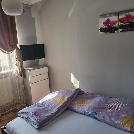 Petroşani Comfort Home Apartment 1 מראה חיצוני תמונה
